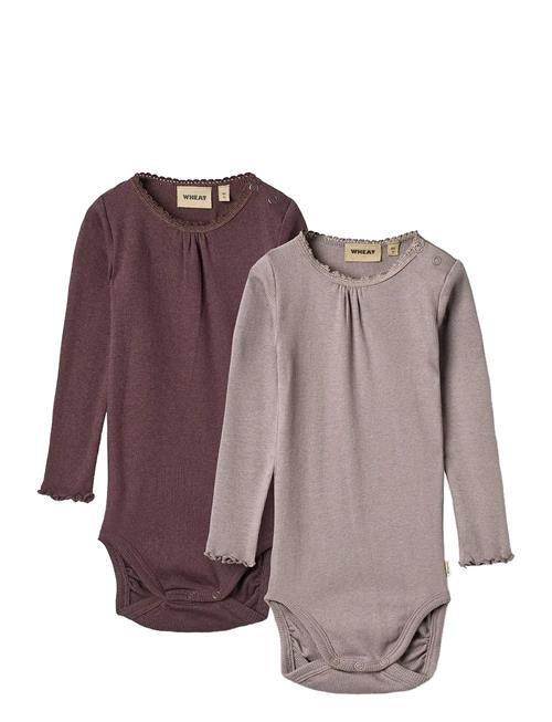 2 Rib Body L/S Lotta Wheat Purple