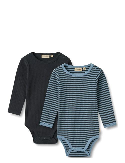 2 Body L/S Berti Wheat Blue