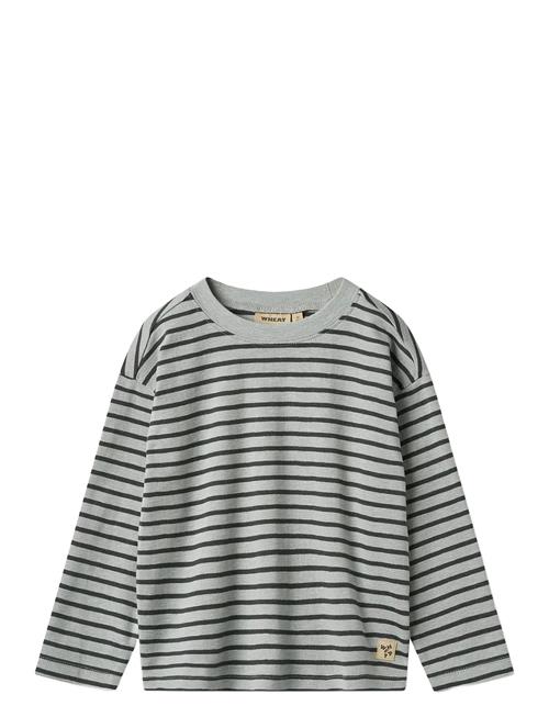 T-Shirt L/S Dallas Wheat Blue