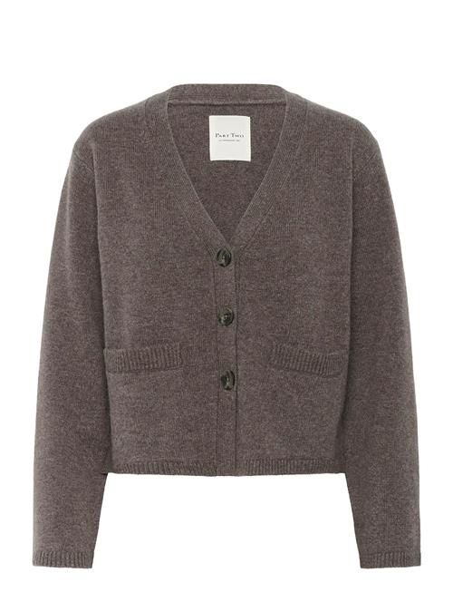 Svevapw Ca Part Two Brown