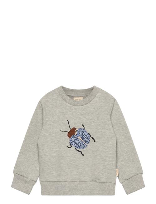 Ppdov Sweat Shirt Petit Piao Grey