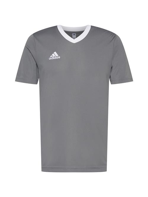 ADIDAS PERFORMANCE Funktionsskjorte 'Entrada 22'  grå / hvid