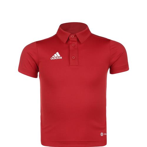 ADIDAS PERFORMANCE Funktionsskjorte 'Entrada 22'  cranberry / hvid