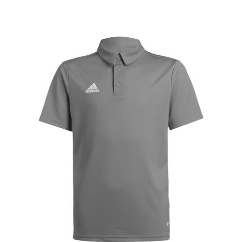 Se ADIDAS PERFORMANCE Funktionsskjorte 'Entrada 22'  grå / offwhite ved About You