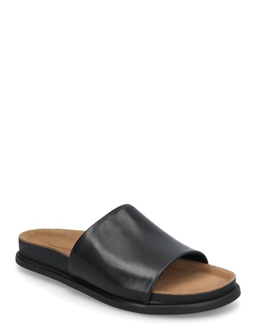 Effie VAGABOND Black