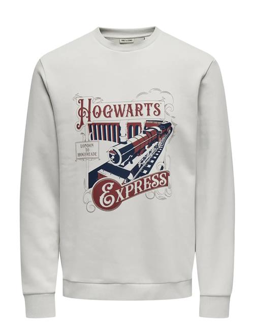 Onsxmas Reg Crew Hp ONLY & SONS Grey