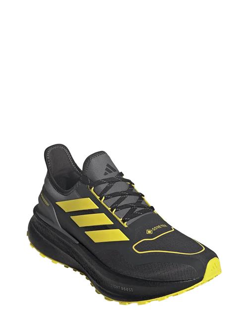 Ultraboost 5 Gtx Adidas Performance Black