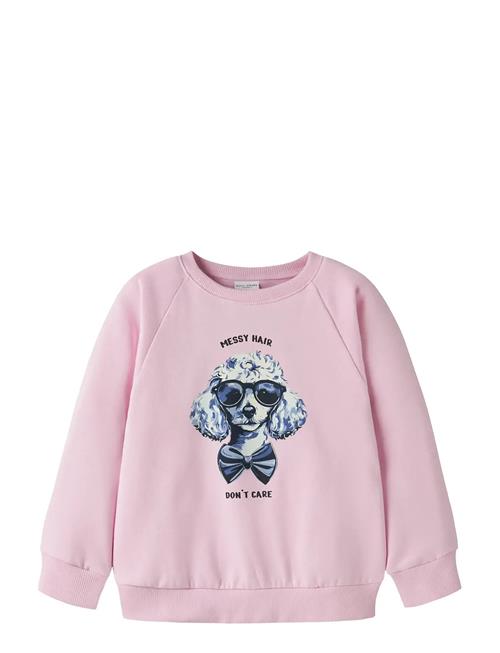 Nmfvenus Ls Nreg Sweat Bru Name It Pink