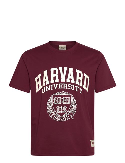 Jack & Jones Jorharvard Tee Ss C.n Styd Ss25 Jack & J S Burgundy