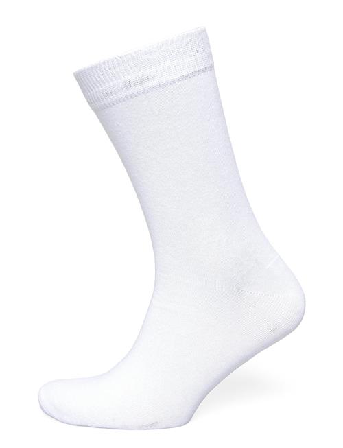 10 Pack Cotton Sock Lindbergh White