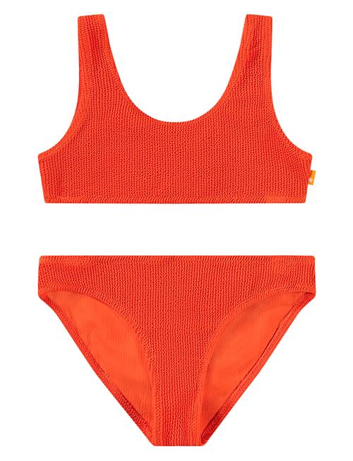 Nola Solid Molo Orange