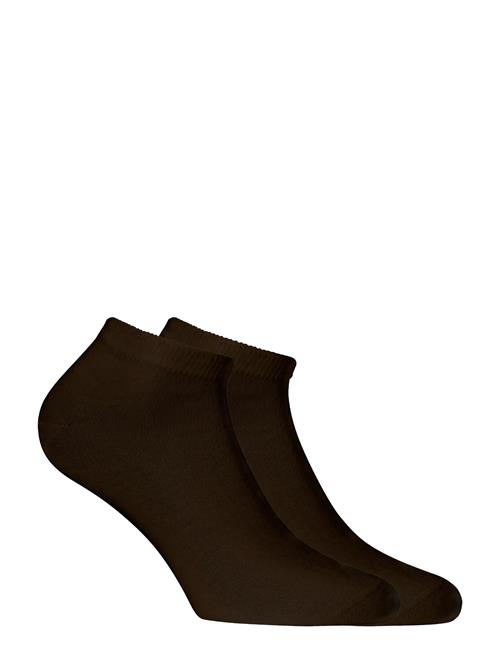 Merino Lifestyle Ankle 2-Pack Alpacasocks&Co Brown
