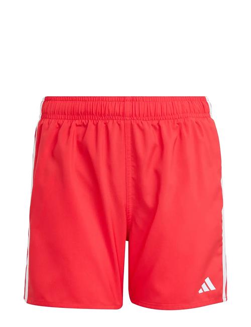 3S Shorts By Adidas Sportswear Red