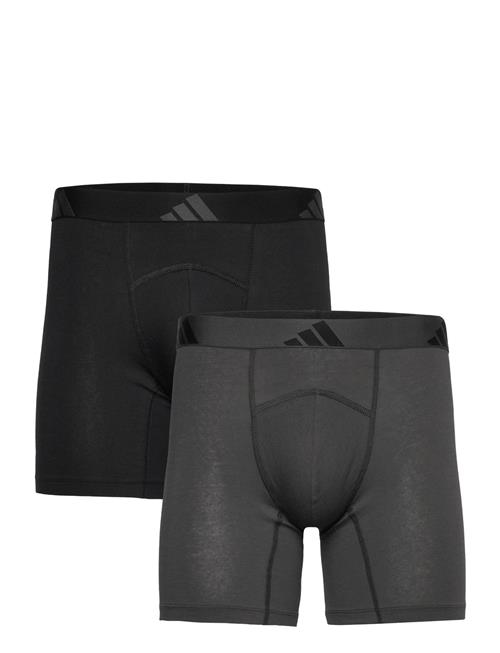 Shorts Adidas Underwear Black