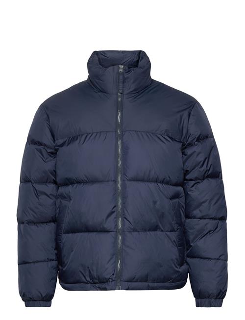 Hco. Guys Outerwear Hollister Navy