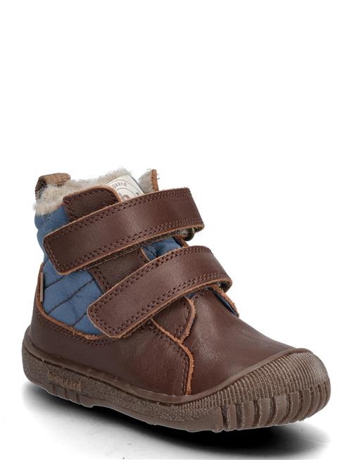 Bisgaard Helton Tex Bisgaard Brown