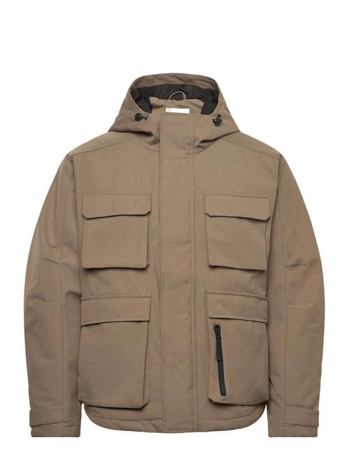 Sdray Ja Solid Brown