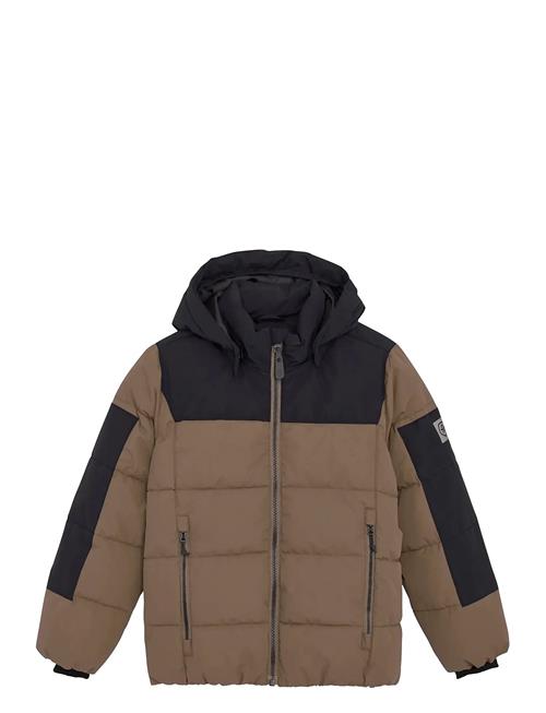 Jacket - Quilt Color Kids Brown