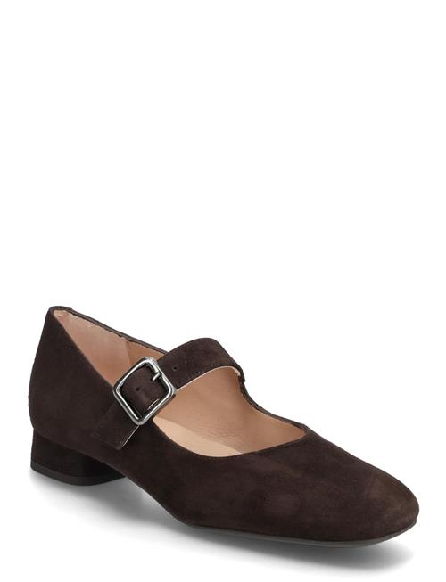 Culverks UNISA Brown