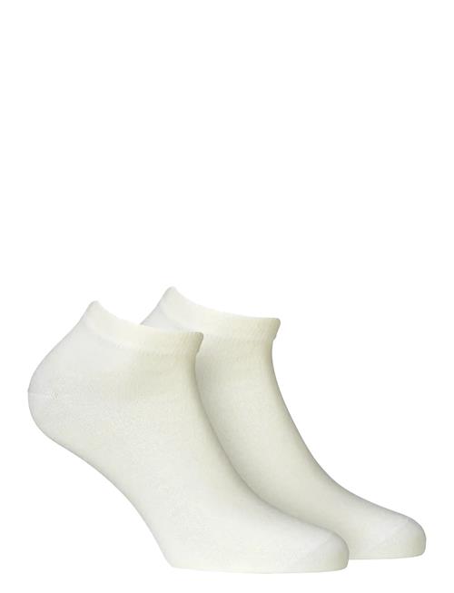 Merino Lifestyle Ankle 2-Pack Alpacasocks&Co Cream