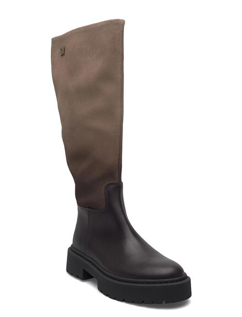 Galina-W Steve Madden Brown