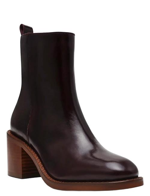 Slender Steve Madden Brown