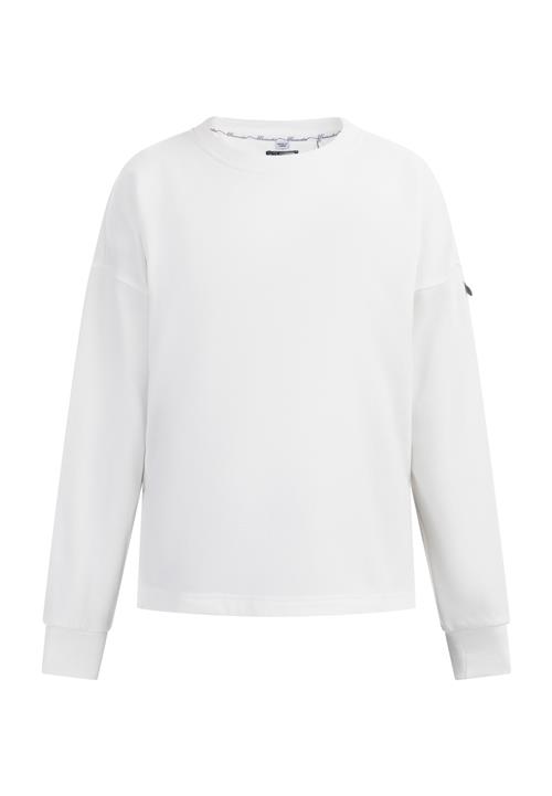 DreiMaster Vintage Sweatshirt 'Idem'  uldhvid