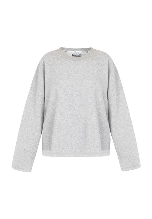 DreiMaster Vintage Sweatshirt  grå-meleret
