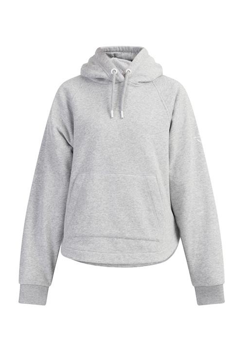 DreiMaster Maritim Sweatshirt  lysegrå