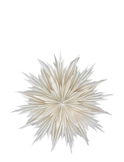 Stjerne, Hddust, Råhvid House Doctor White