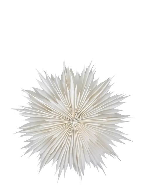 Stjerne, Hddust, Råhvid House Doctor White