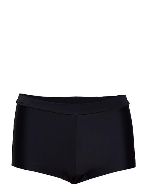 Swim Panty Wiki Black