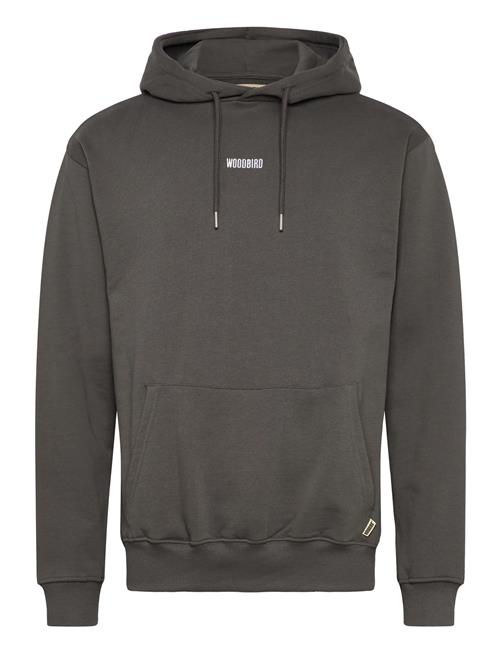 Wbpacs Base Hoodie Woodbird Grey
