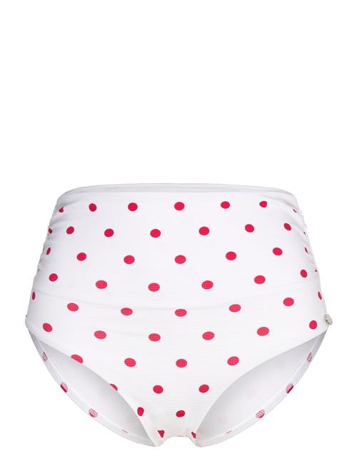 Polka Dot Chara Bottom Panos Emporio Pink