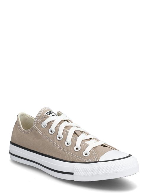 Chuck Taylor All Star Converse Khaki