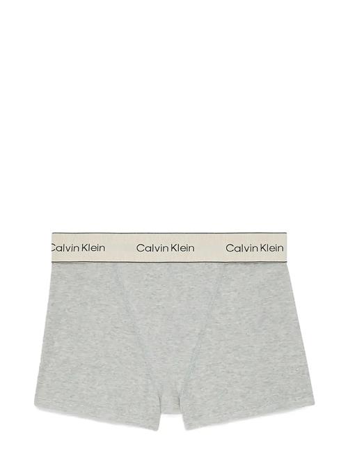 Boxer Brief Calvin Klein Grey