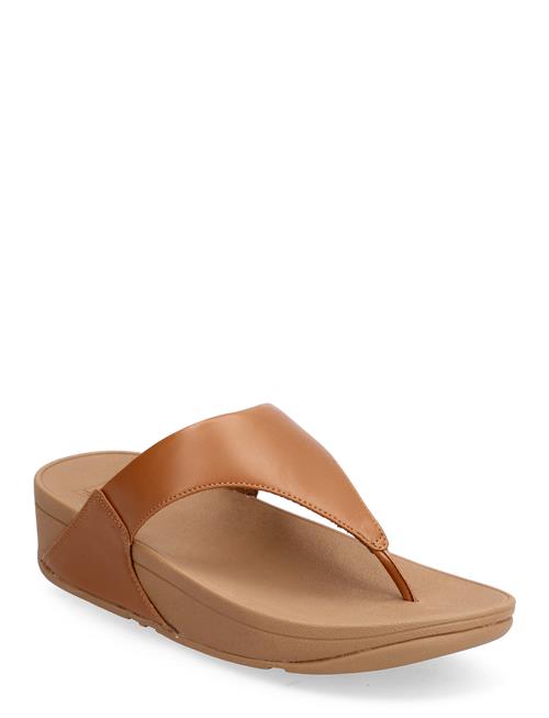 Lulu Lthr Tp FitFlop Brown