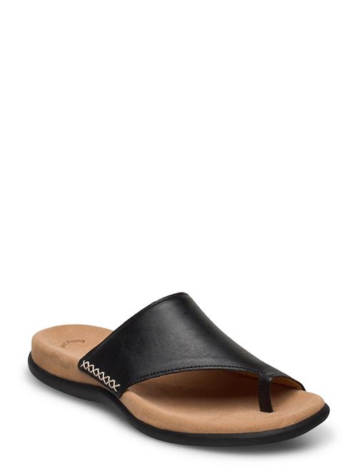 Slip-In Gabor Black