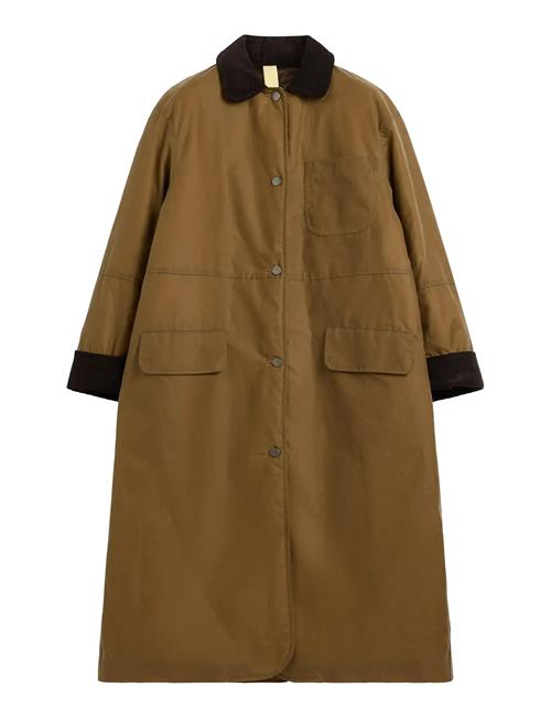 Joan Jett Padded Brixtol Textiles Brown