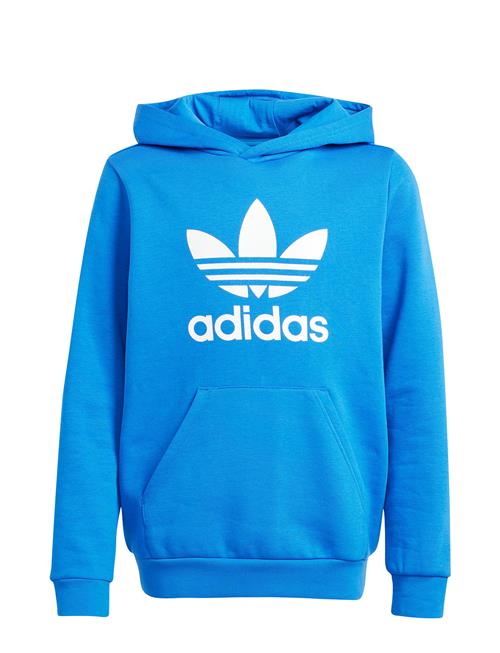 Trefoil Hoodie Adidas Originals Blue