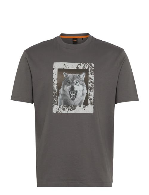 Te_Lupo BOSS Grey