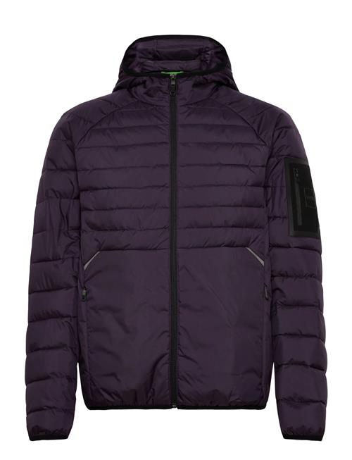 Ow_Urbanex Jt Hd BOSS Purple