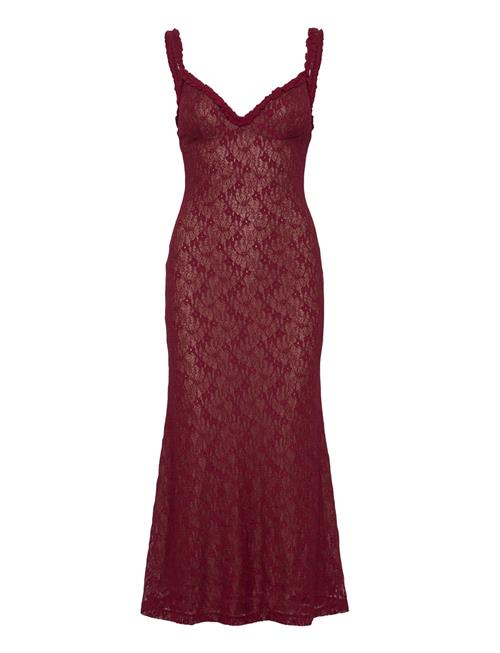 Alegra Stretch Lace Midi Dress Bardot Burgundy