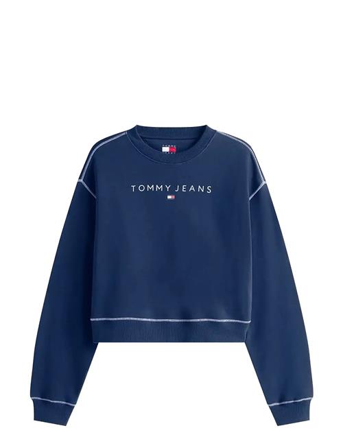 Tjw Rlx Crp Stitch Linear Crew Tommy Jeans Blue