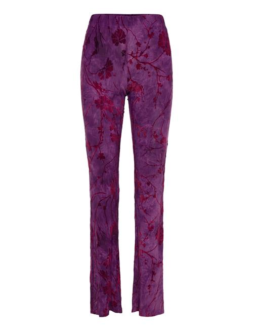 Alina Desigual Purple
