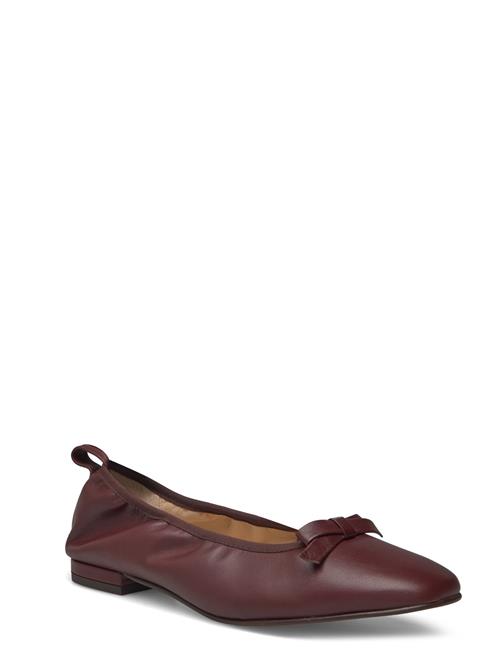 Freya Leather Ballet Flats ALOHAS Brown