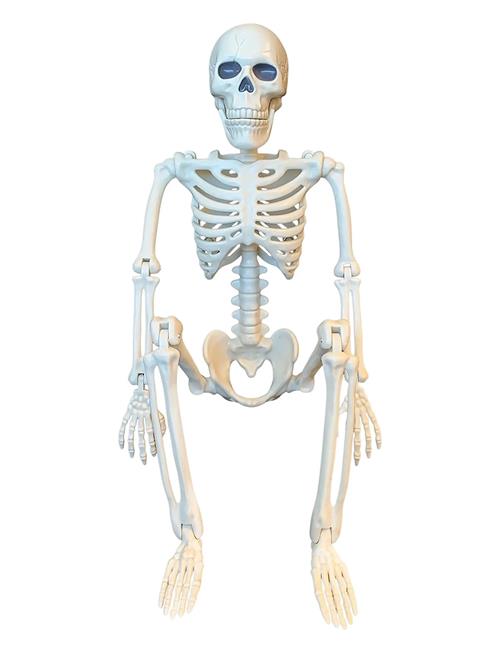 Halloween Skeleton Decor Magni Toys White