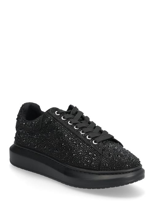 Icebox Steve Madden Black