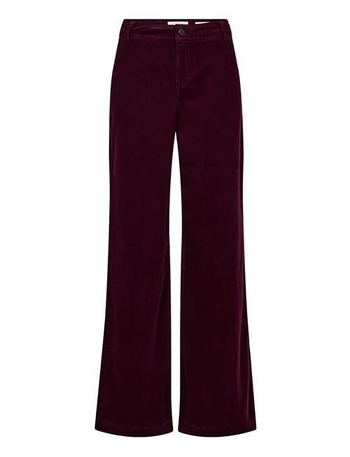 Pd-Asta French Jeans Baby Cord Pieszak Burgundy