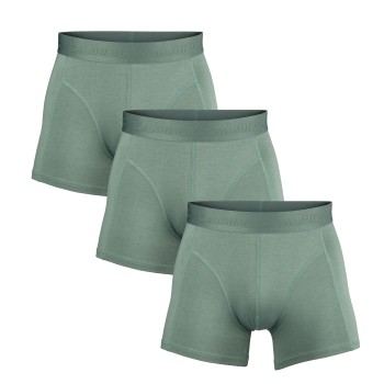 Salming 3P Bamboo Boxer Grøn Large Herre